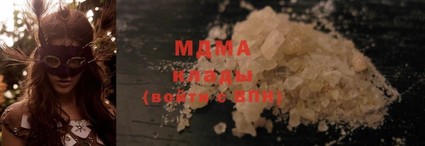 шишки Верея