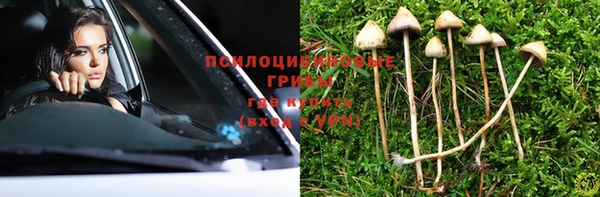 apvp Богородицк