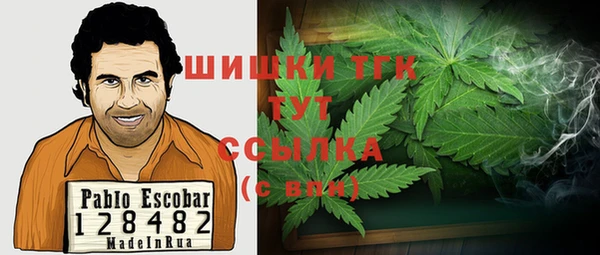 метамфетамин Богданович