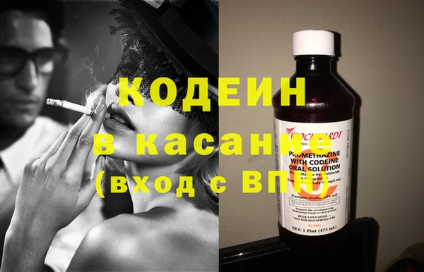шишки Верея