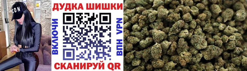 Шишки марихуана сатива  закладки  даркнет телеграм  Грязи 